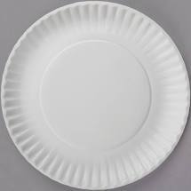 PAPER PLATE 9" UNCOATED  (10/100/CS)