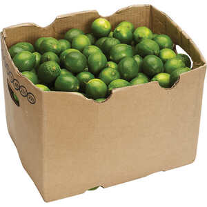 LIMES 40# BOX (APX 200 - 230 COUNT)