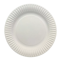 PAPER PLATE COATED 7" WHITE   2/250/CS